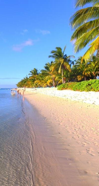 Пляж LUX* Le Morne Beach photo 5