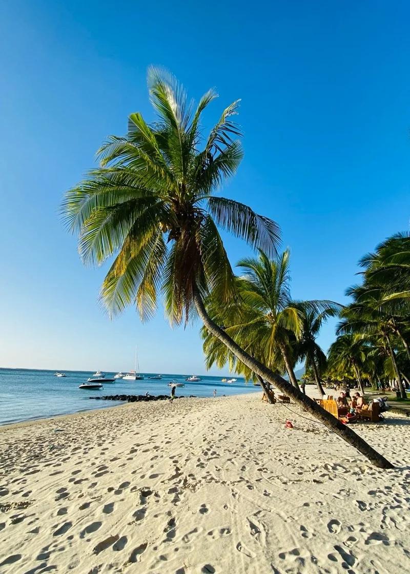 Le Morne Le Paradis Beach Beach photo 8