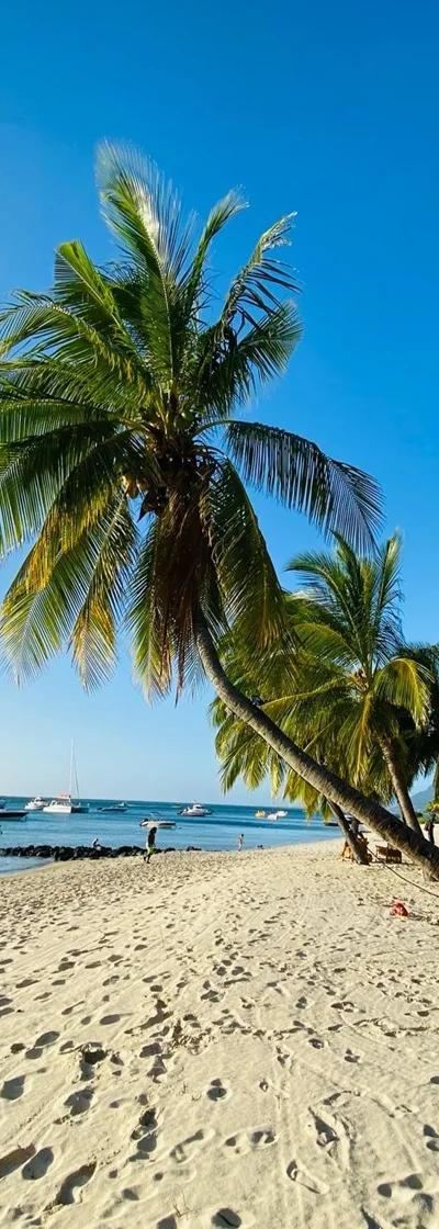 Le Morne Le Paradis Beach Beach photo 8