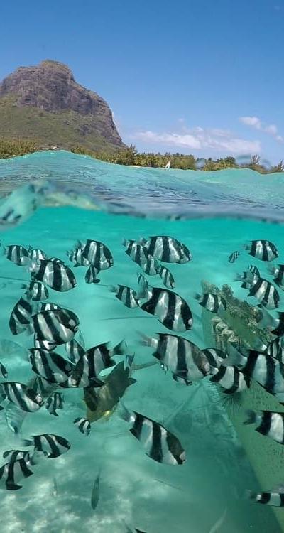 Le Morne Beach photo 6