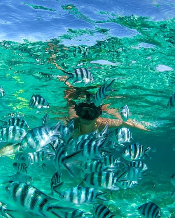 Blue Bay Marine Park