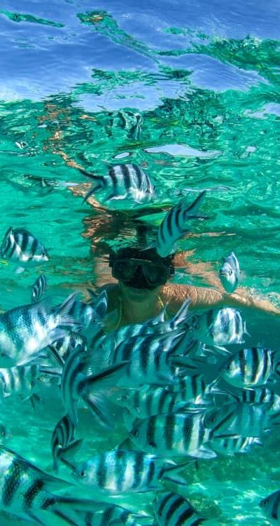 Blue Bay Marine Park Beach photo 1