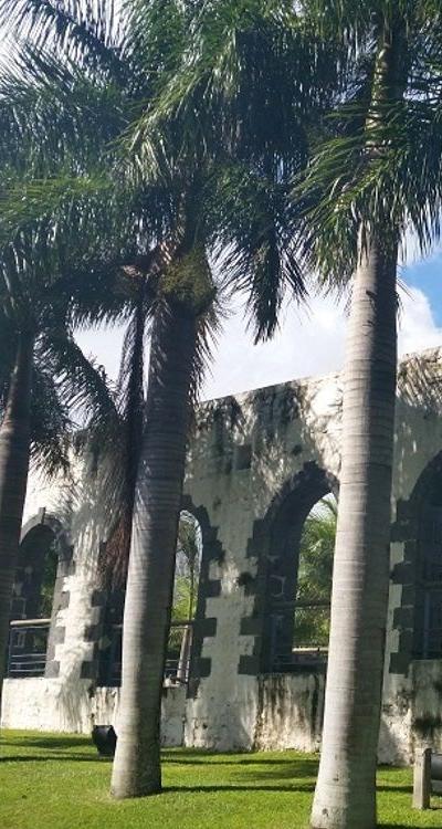 Place du Moulin Beach photo 3