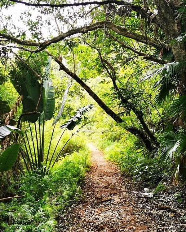 cascade-leon Beach photo 8