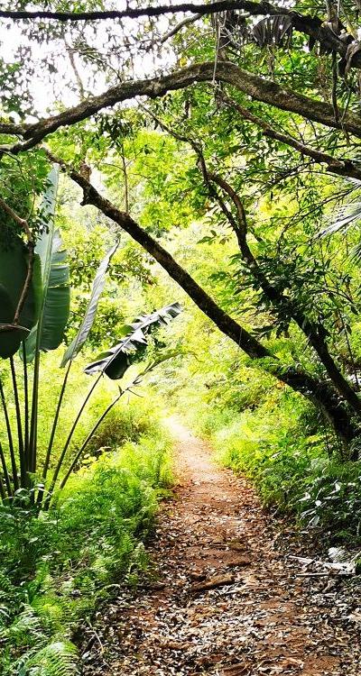 Cascade Leon Beach photo 6