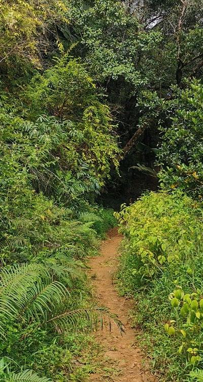 Cascade Leon Beach photo 7