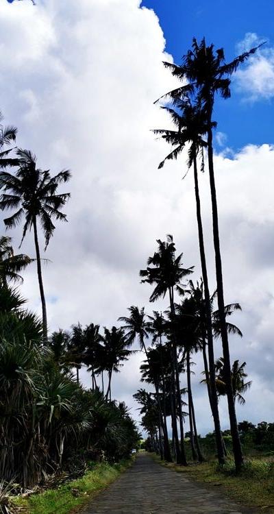 Cascade Leon Beach photo 8