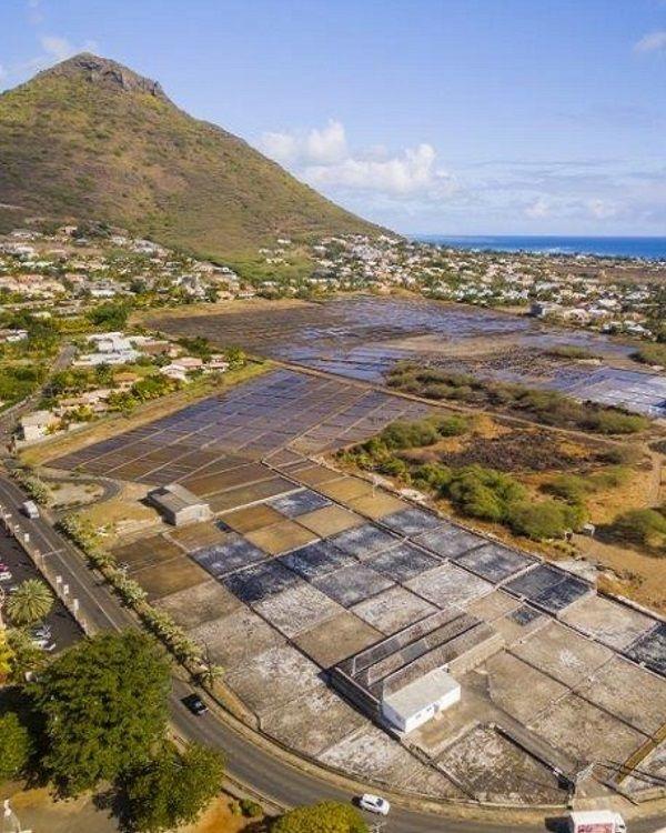 Les Salines Salt Pans Beach photo 5