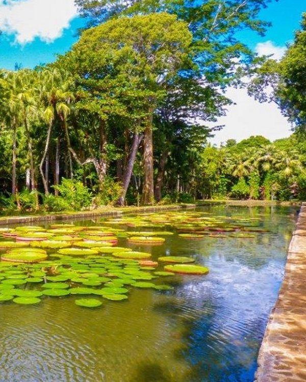 pamplemousses-botanical-garden Beach photo 14