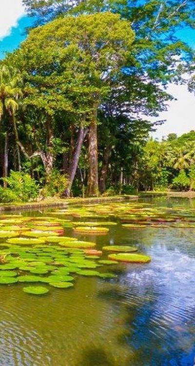 Pamplemousses Botanical Garden Beach photo 6