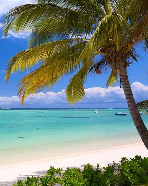 Insellandschaft von Mauritius bei Le Morne, einem der bekanntesten Orte für Hochzeitsreisende, Naturliebhaber und Abenteuerurlauber.