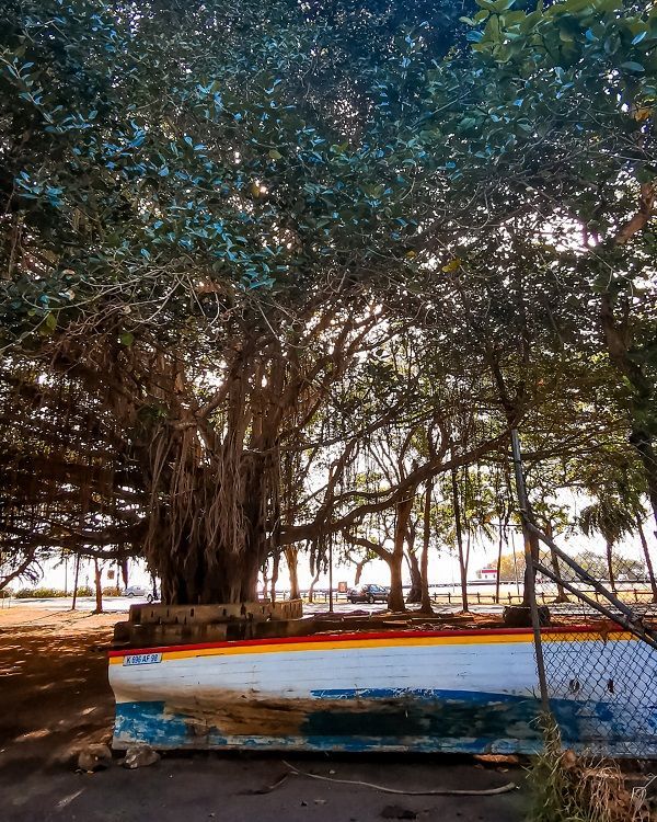 Mahébourg local market Mauritius, perfect for travellers exploring food, culture and daily life beyond resort areas.