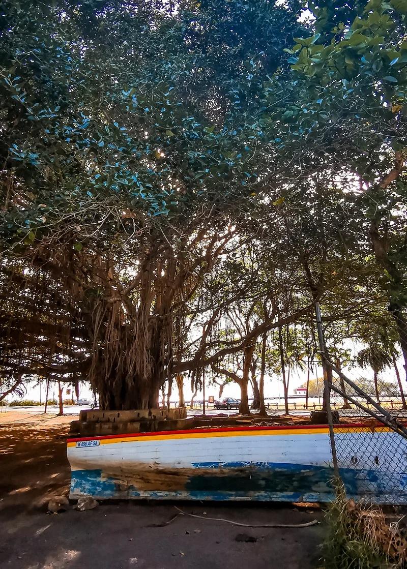 mahebourg-village Beach photo 7