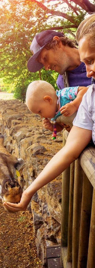Best Family-Friendly Spots in Mauritius | 20 Places to Visit with Kids