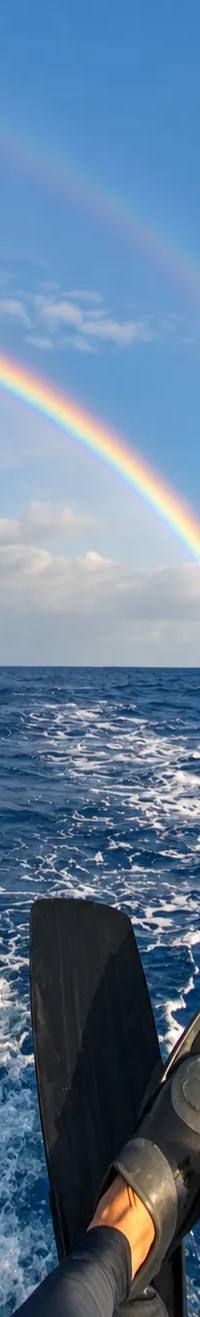 Mauritius Rainy Season Guide: When It Rains & Which Coast Is Driest in Summer