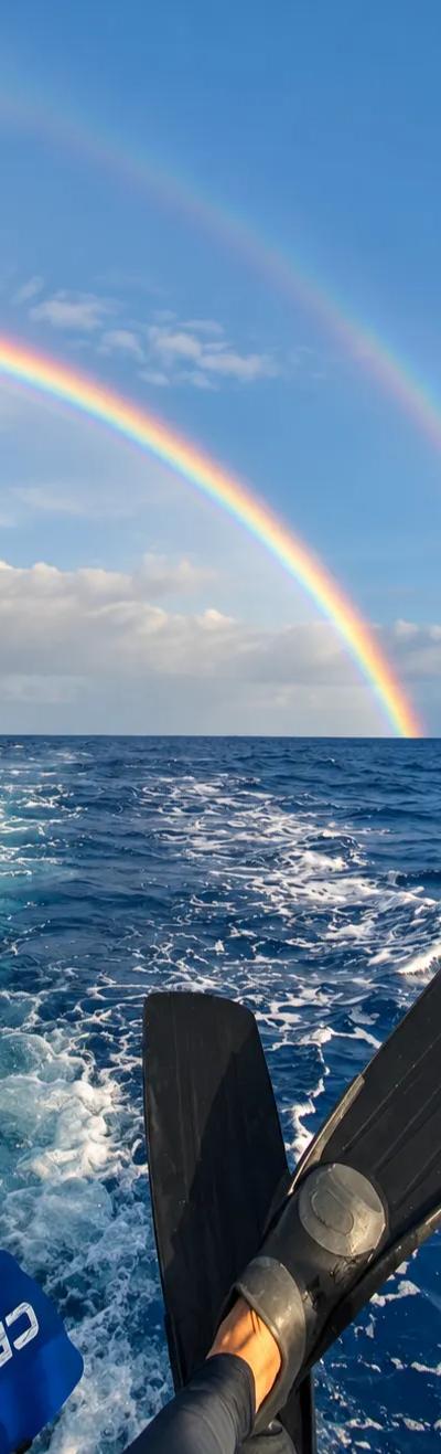 Mauritius Rainy Season Guide: When It Rains & Which Coast Is Driest in Summer