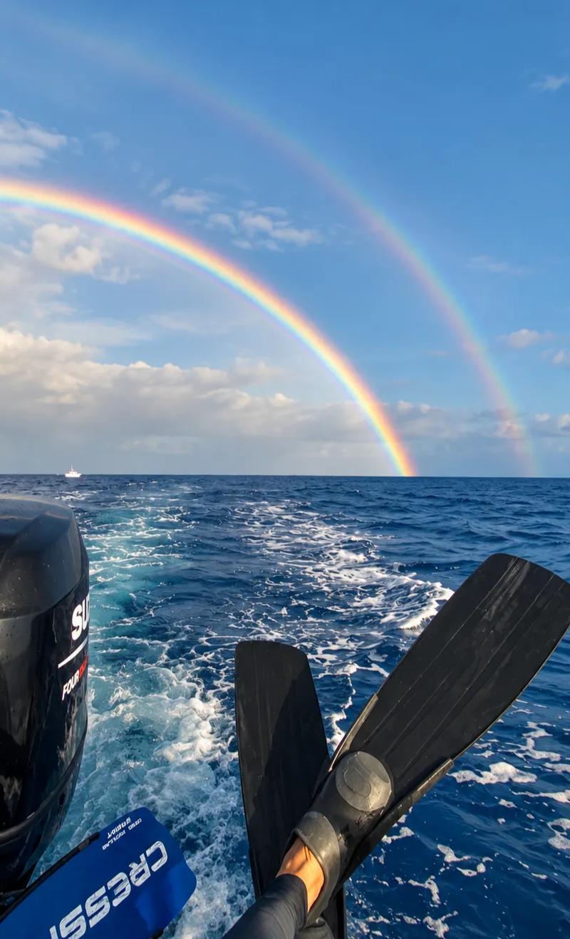 Mauritius Rainy Season Guide: When It Rains & Which Coast Is Driest in Summer