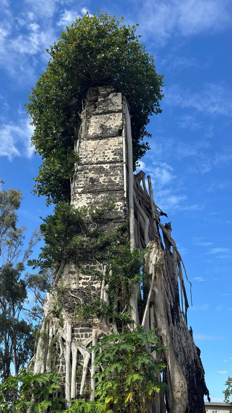 Ruines de Savinia Mauritius | Hidden Sugar Estate Ruins in the Wild South Beach photo 5