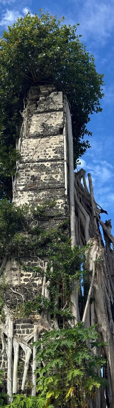 Ruines de Savinia Mauritius | Hidden Sugar Estate Ruins in the Wild South Beach photo 5