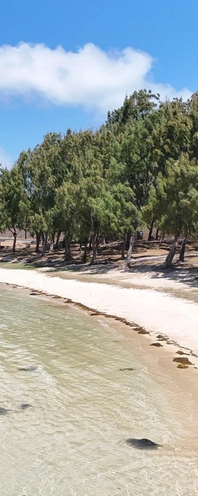 Melville Beach Beach photo 5