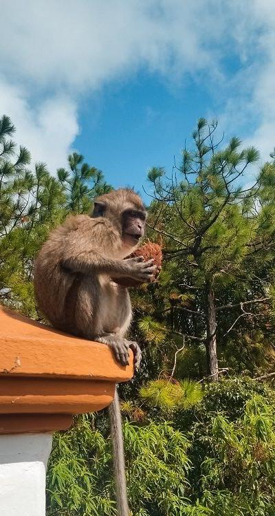 Grand Bassin Temple Beach photo 13