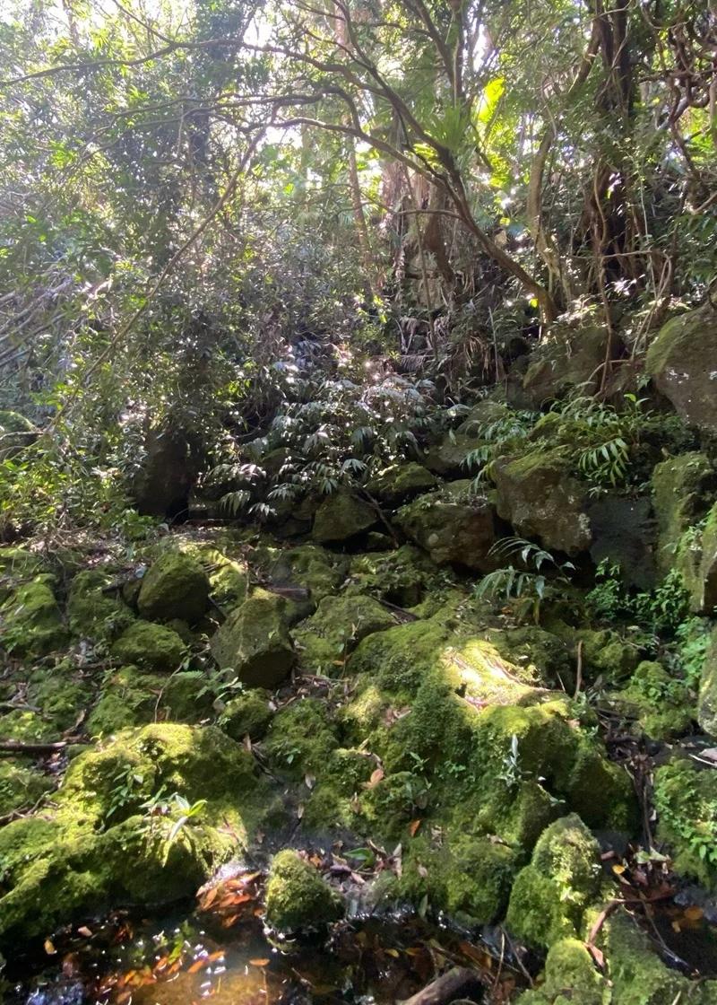 eau-bleu-waterfall-mauritius-exact-location Beach photo 2