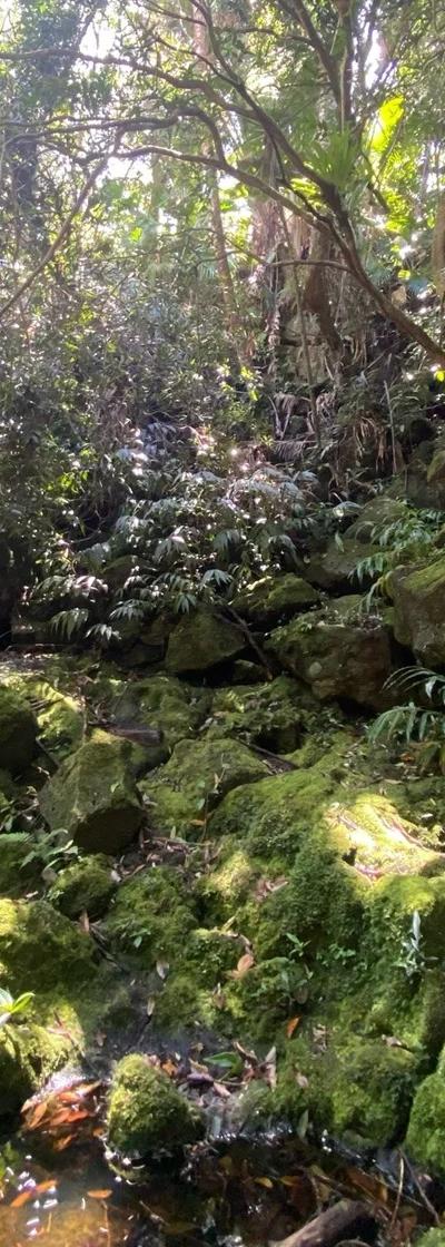 Eau Bleu Waterfall Mauritius - exact Location Beach photo 9