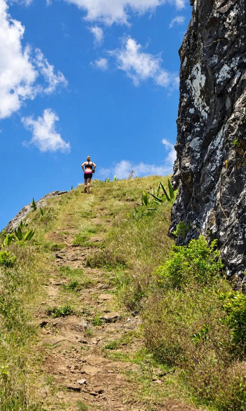 narrow-mountainside-path-at-le-pouce--mauritius..webp