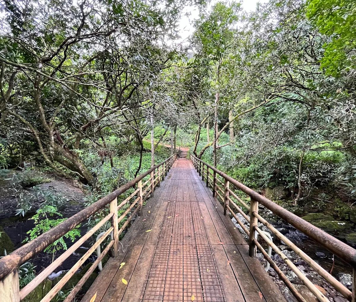 Scenic viewpoint over forested hills at Vallée d’Osterlog Mauritius