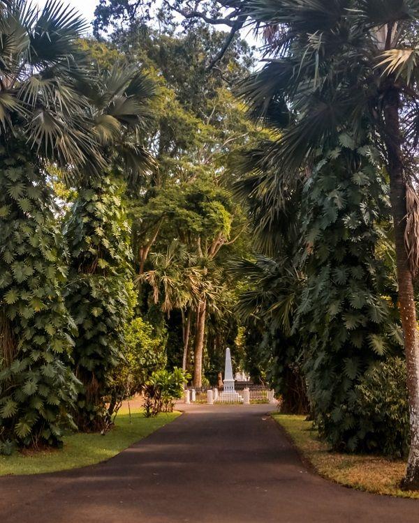 pamplemousses-botanical-garden Beach photo 12