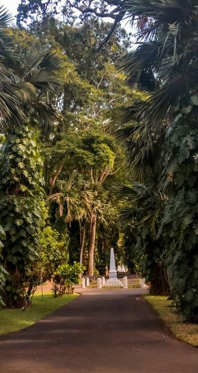 Pamplemousses Botanical Garden Beach photo 7