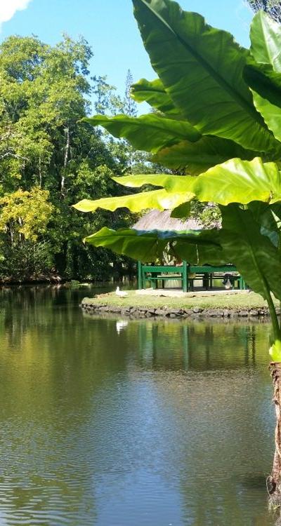 Pamplemousses Botanical Garden Beach photo 12