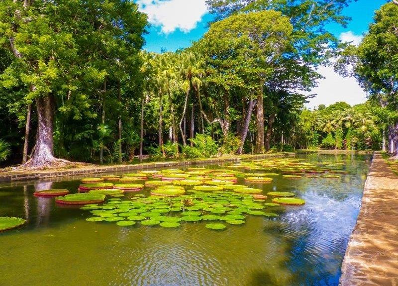 Pamplemousses Botanical Garden