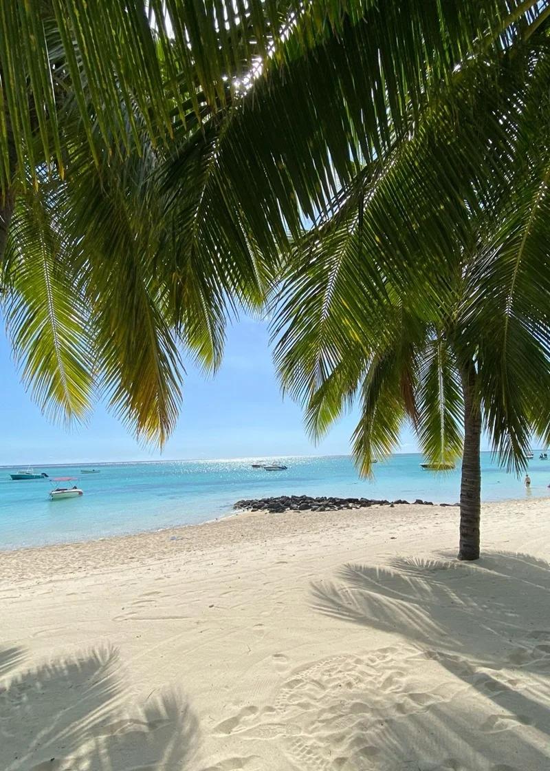 Le Morne Le Paradis Beach Beach photo 2