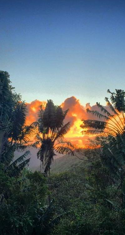 Petrin Forest Beach photo 2