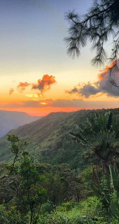 Petrin Forest Beach photo 3