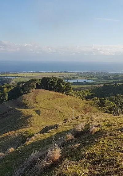 Bel Ombre Nature Reserve Beach photo 8