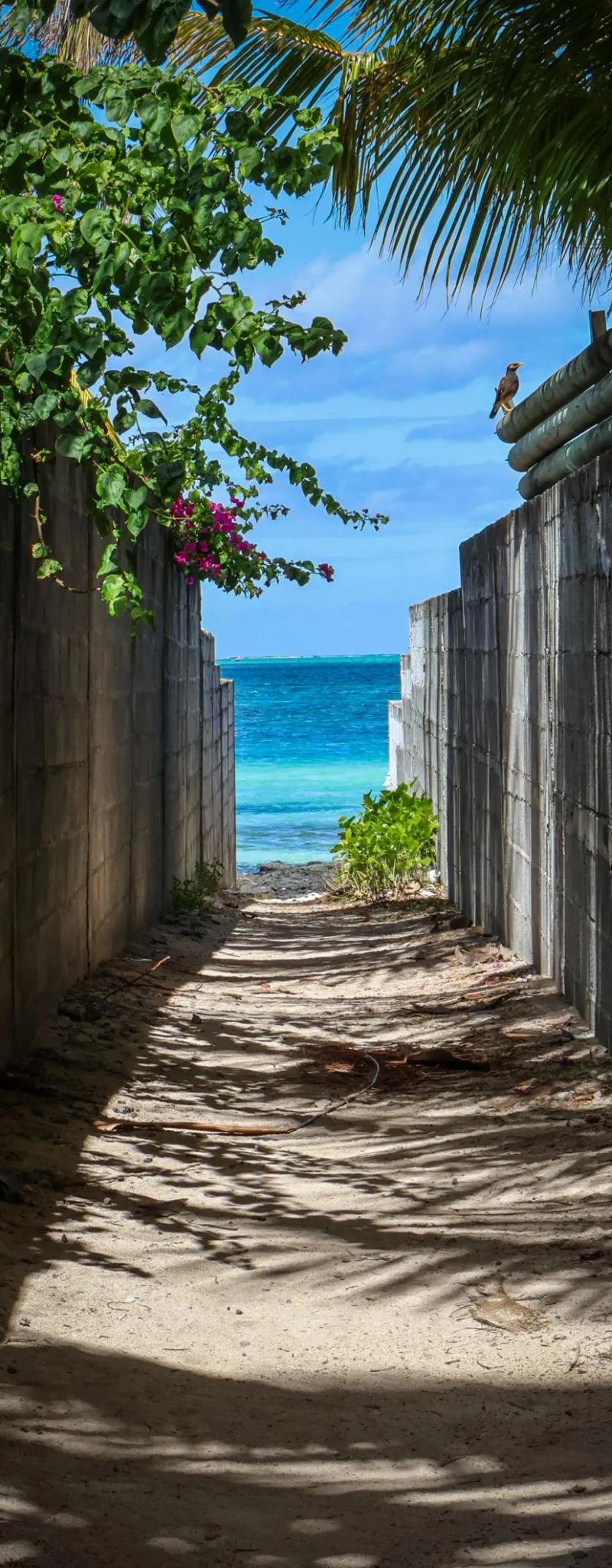 pointe-d-esny-beach-access-passage-in-mauritius.webp