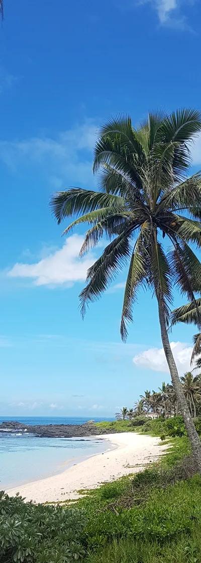Pomponette Beach Beach photo 1