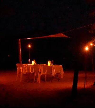 Twilight Bliss: Sunset BBQ & Bonfire Escape at Ile aux Benitiers Beach photo 4