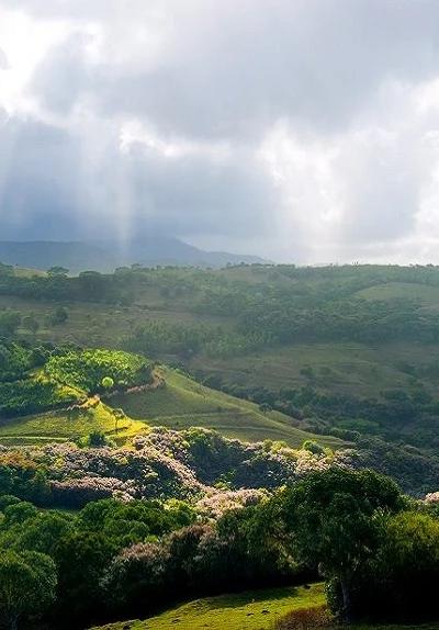 Quad Biking at Heritage Nature Reserve Beach photo 5