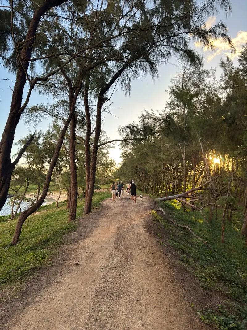 Royal Palm Forest Hike Mauritius | Hidden Nature Trail in the Wild South Beach photo 4
