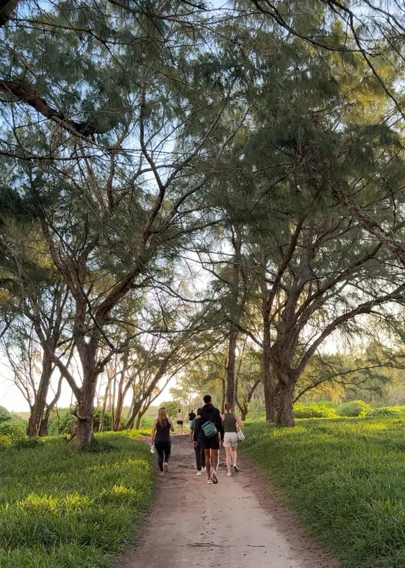 Royal Palm Forest Hike Mauritius | Hidden Nature Trail in the Wild South Beach photo 5