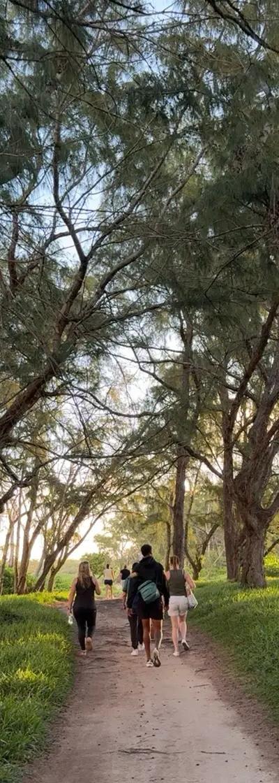 Royal Palm Forest Hike Mauritius | Hidden Nature Trail in the Wild South Beach photo 5
