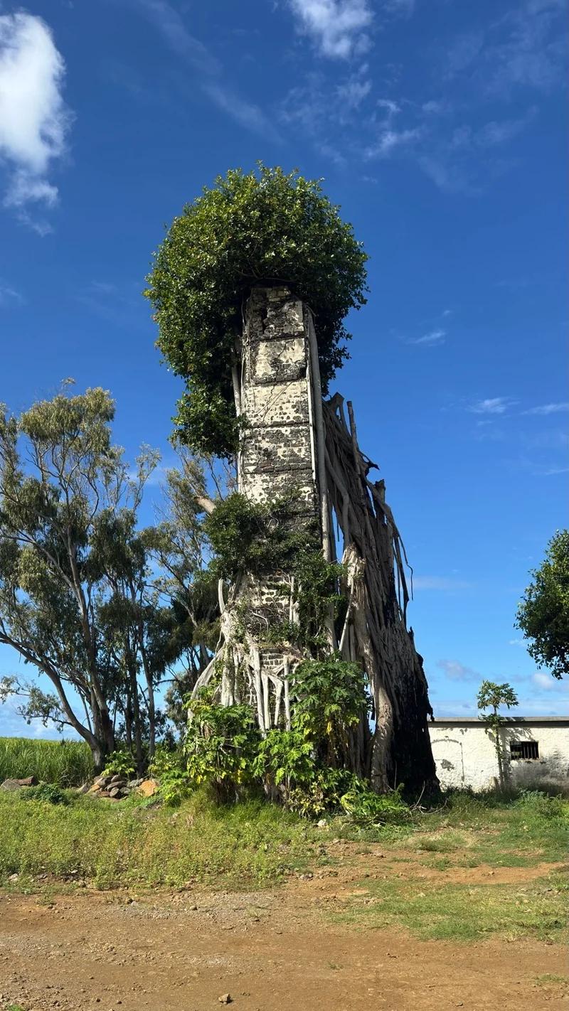 Ruines de Savinia Mauritius | Hidden Sugar Estate Ruins in the Wild South Beach photo 3