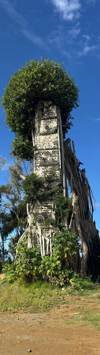 Ruines de Savinia Mauritius | Hidden Sugar Estate Ruins in the Wild South Beach photo 3
