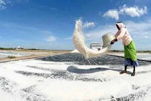 Les Salines Salt Pans Beach photo 6