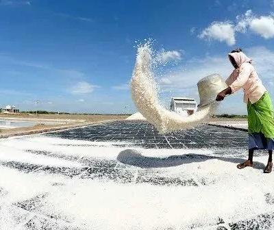 Les Salines Salt Pans Beach photo 6