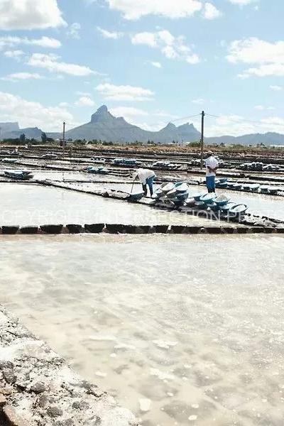 Les Salines Salt Pans Beach photo 1
