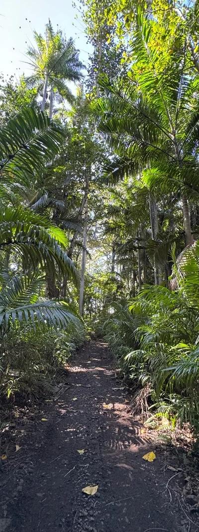 Quad Bike Tour Mauritius | 180-Minute South Coast Adventure to Pont Naturel - Sensation Beach photo 4